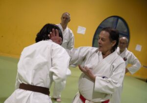 sensei dang shuto