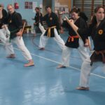 stage-kobudo-montmorency-novembre-2024